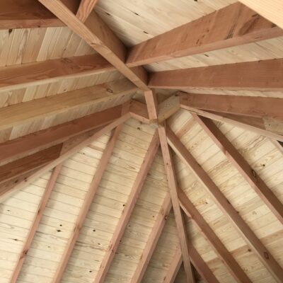 Vaulted ceiling in larch and bespoke detailing garden design Sussex Kent