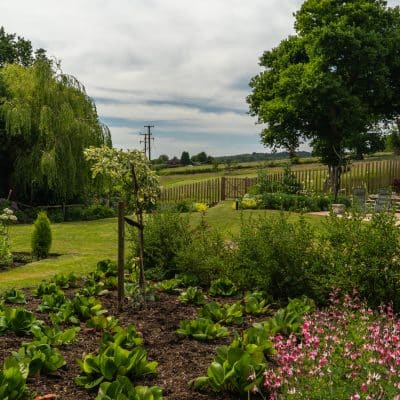 Large rural garden on multiple levels with planting garden design Kent Sussex